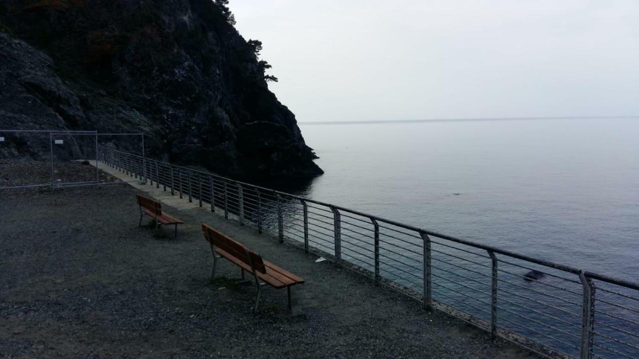 Casa Cinzia Bonassola Cinque Terre 아파트 외부 사진
